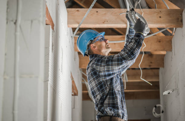 Best Electrical Upgrades for Homes  in Perryville, AR